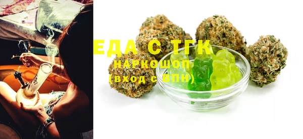 ECSTASY Алзамай