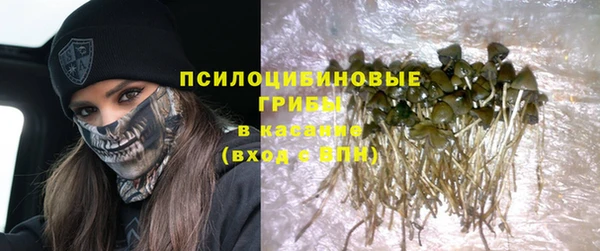 ECSTASY Алзамай