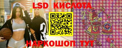 гашик Новодвинск