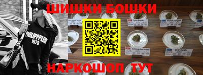 ПСИЛОЦИБИНОВЫЕ ГРИБЫ Новозыбков