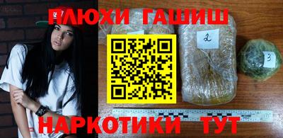 ПСИЛОЦИБИНОВЫЕ ГРИБЫ Новозыбков