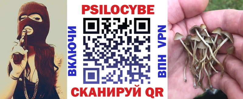 Галлюциногенные грибы Cubensis  Тында 