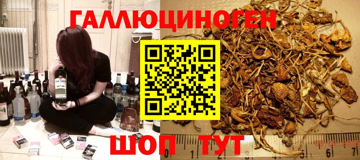 Галлюциногенные грибы ЛСД Тында